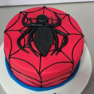 kids Birthday Icing cake 005